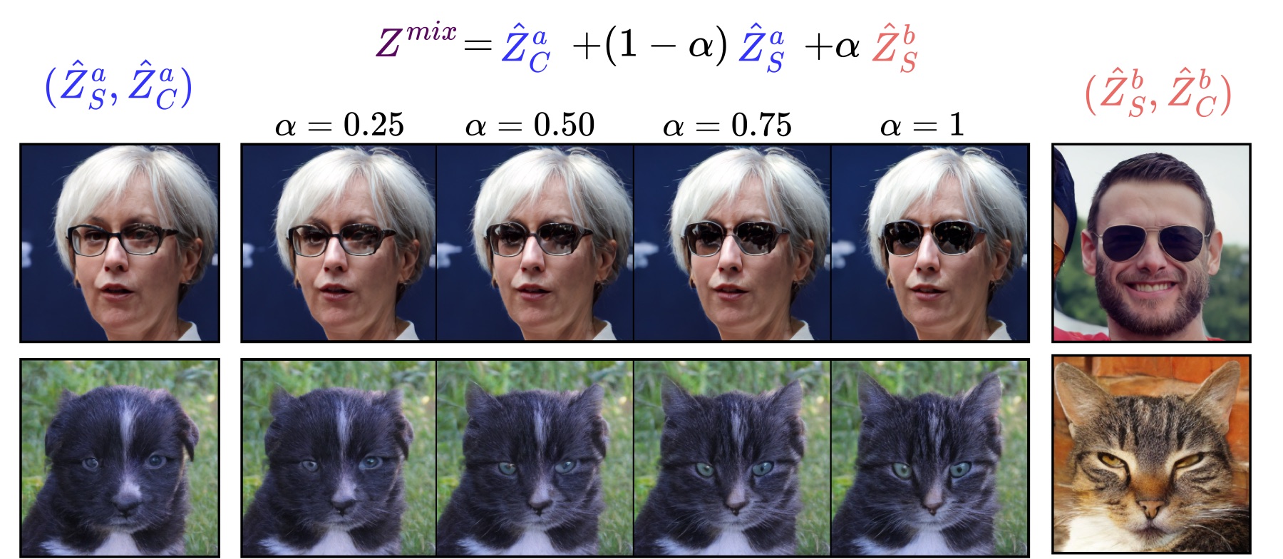 Top row: a woman's reading glasses gradually turn into the aviator sunglasses of another person. Bottom row: a black puppy gradually gains the ears and whiskers of a tabby cat.