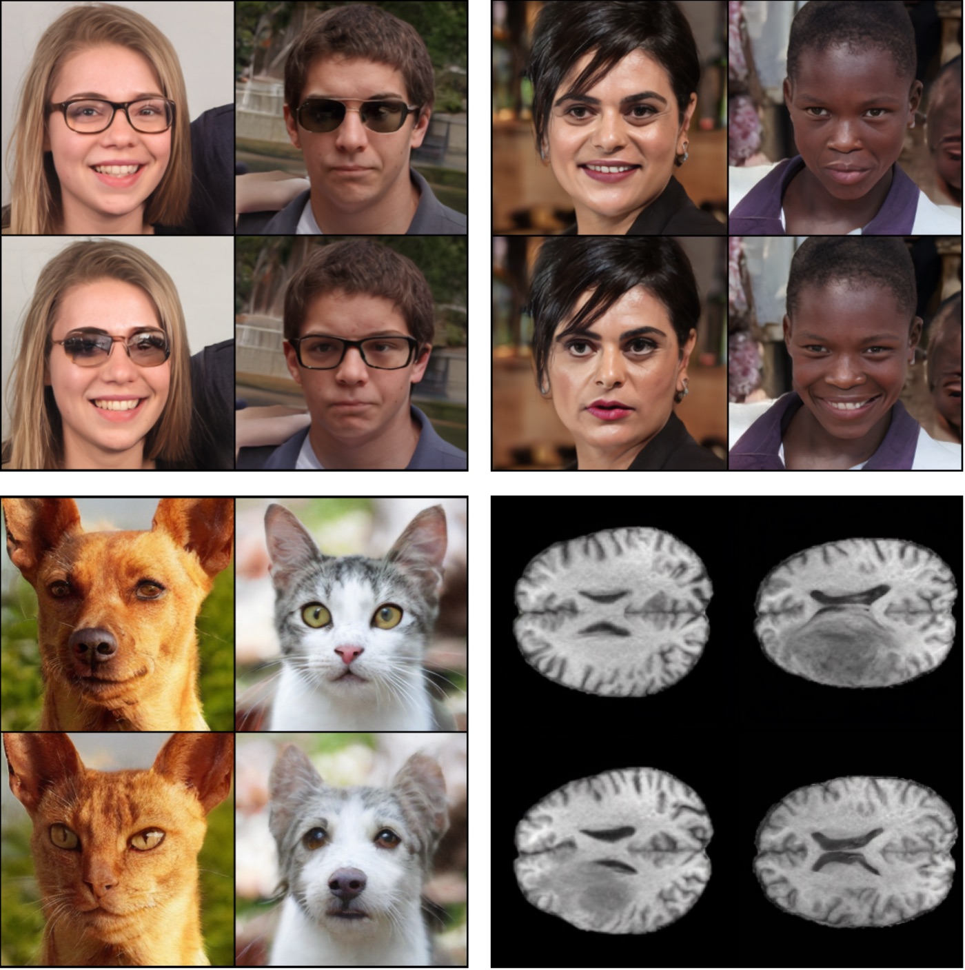 Four panels of two image pairs each. Glasses styles are exchanged between two faces, smiles between two faces, cat and dog features between a dog and a cat, and a tumor between two brain MRI slices.
