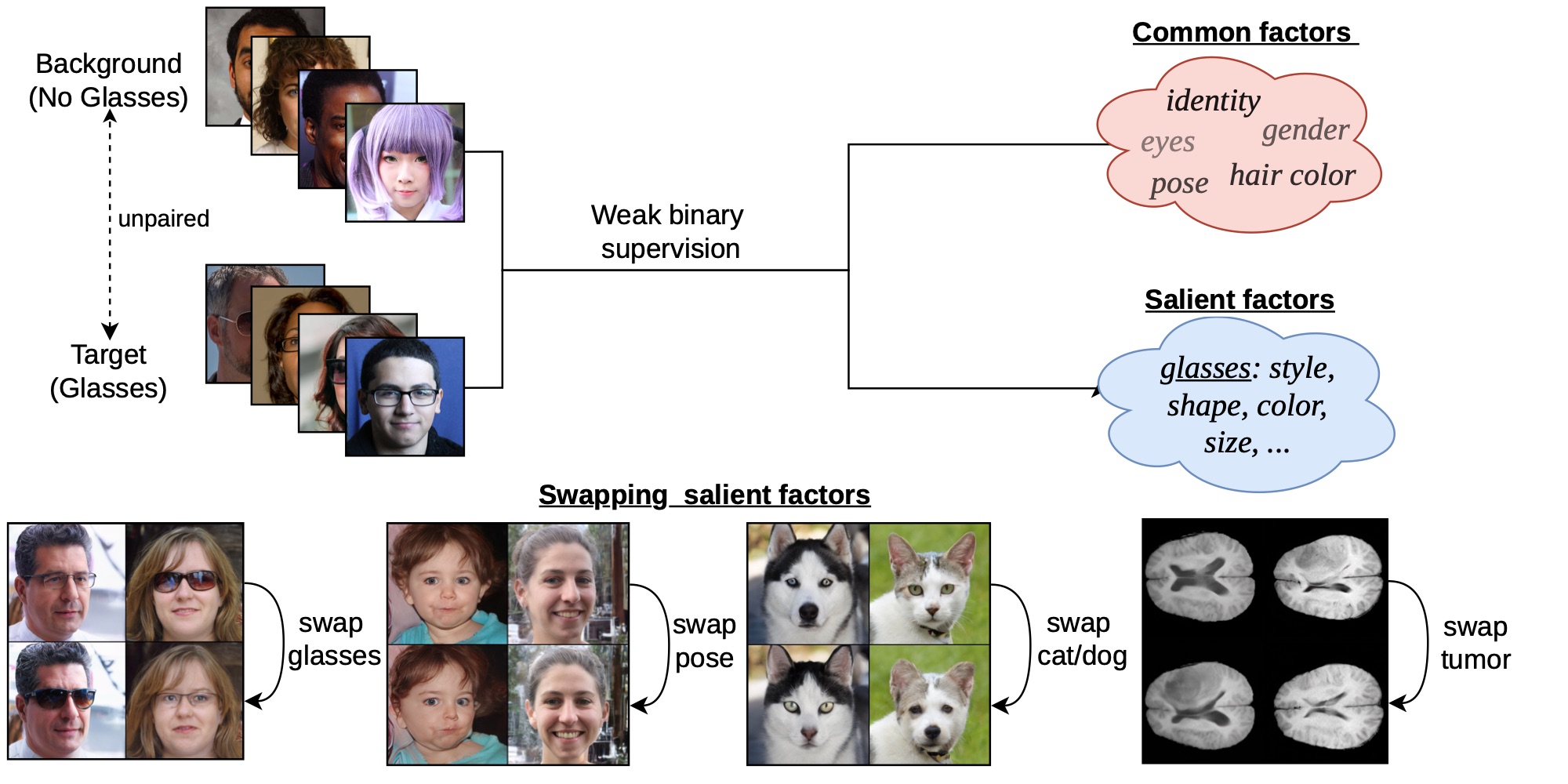 Unpaired face images without glasses (background) and with glasses (target) are separated, using only weak binary supervision, into common factors (identity, gender, pose, hair color) and salient factors (glasses style, shape, color). Bottom: swapping salient factors for glasses, head pose, cat/dog and brain tumors.