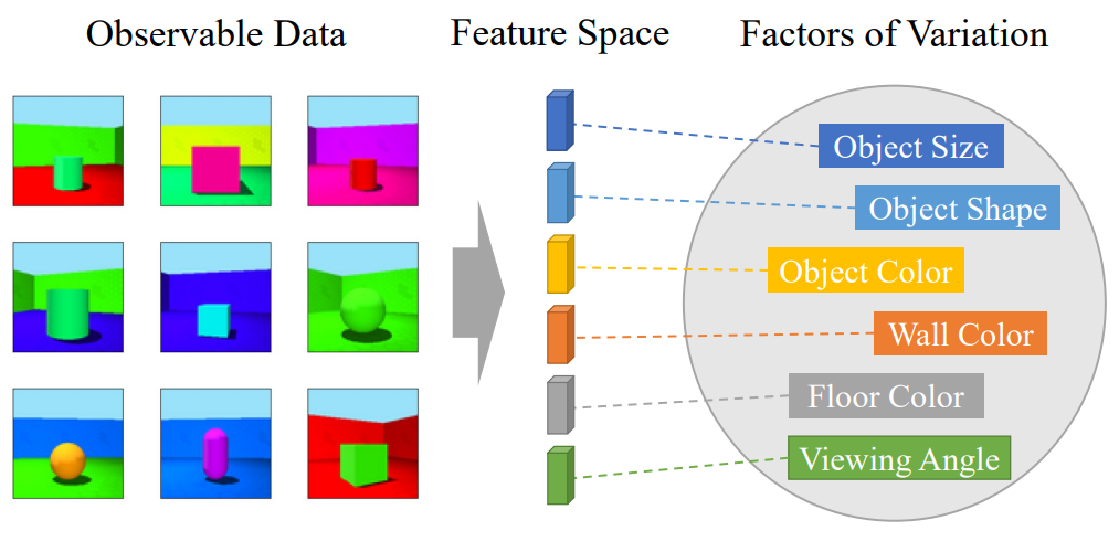 Description of Disentangled Representation Learnining (Wang et. al, 2024